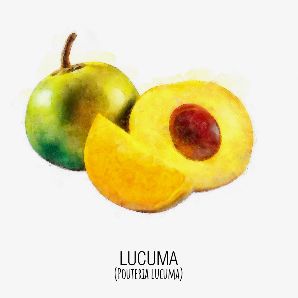 lucuma_DAP_Watercolor_Gris.jpg