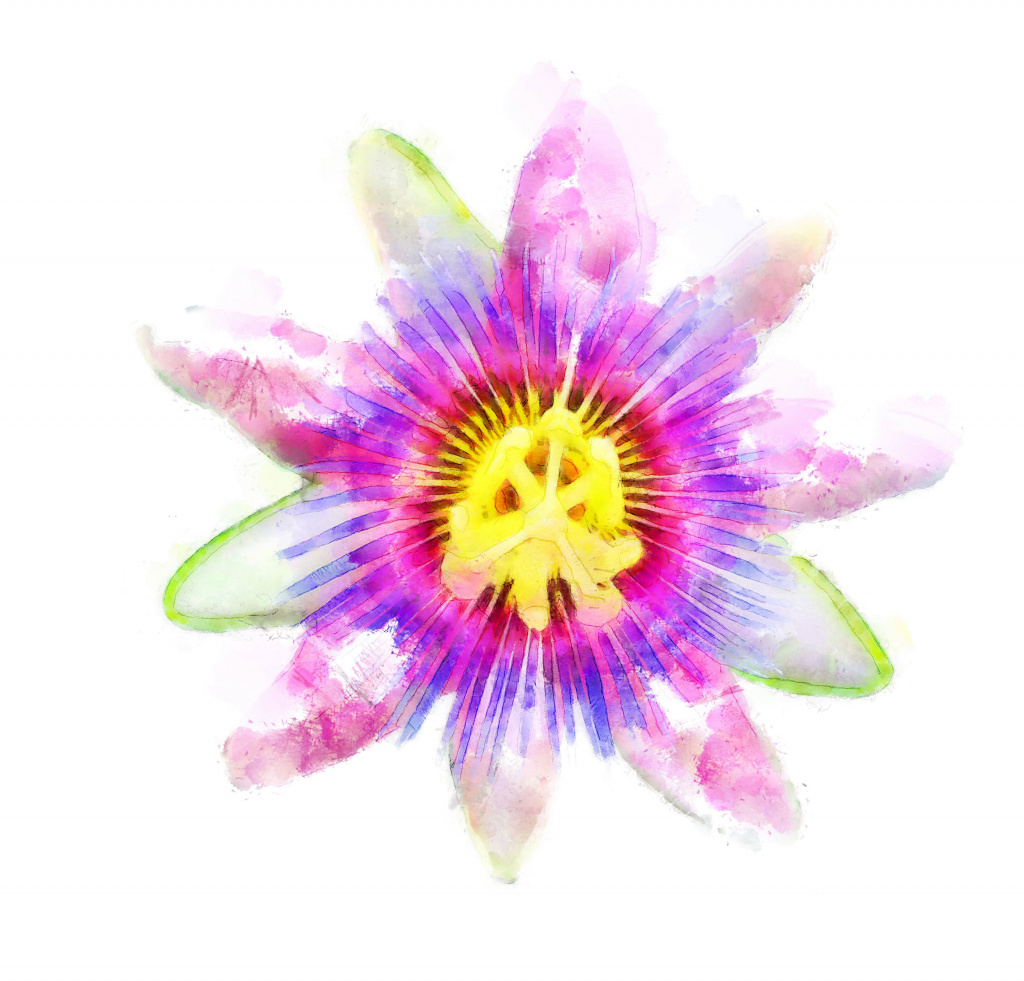 Flower_1_DAP_Watercolor.jpg Flower_1_DAP_Watercolor.jpg