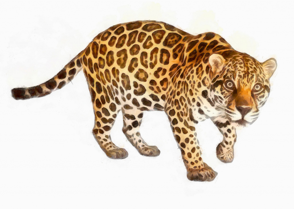 jaguar_0_DAP_Watercolor_Legend.jpg jaguar_0_DAP_Watercolor_Legend.jpg