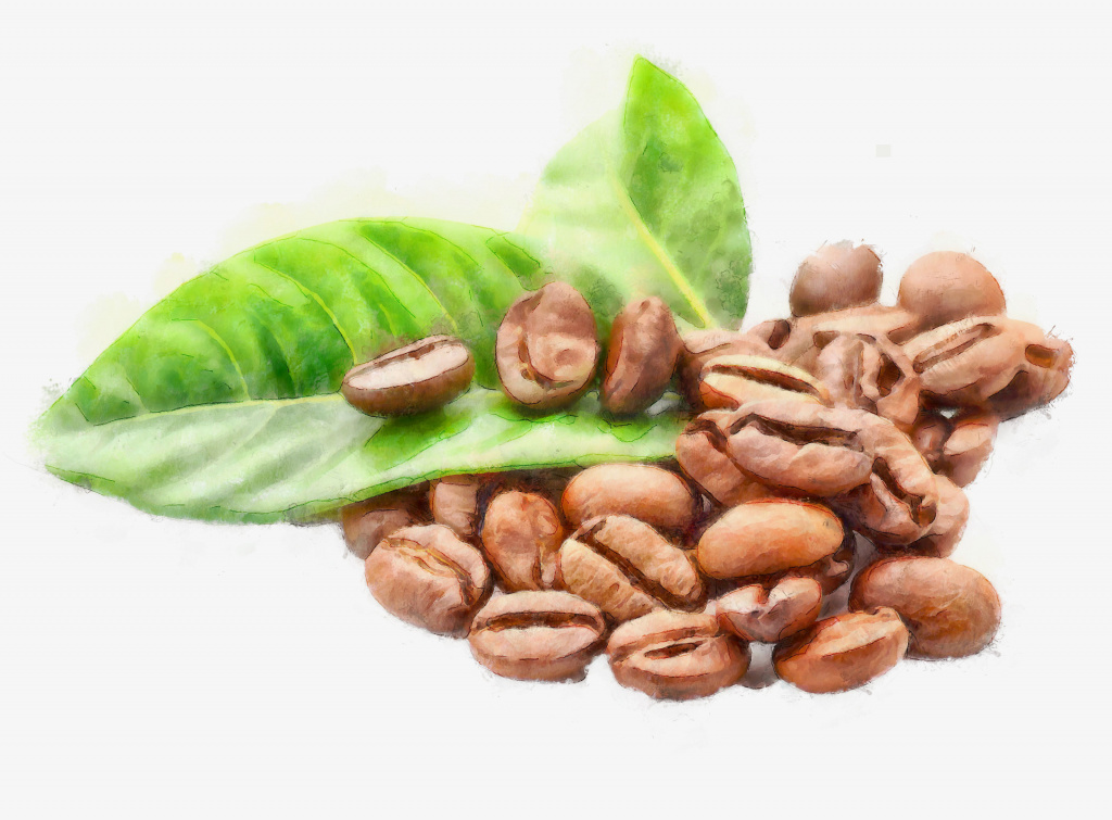 Cafe_DAP_Watercolor_Gris.jpg Cafe_DAP_Watercolor_Gris.jpg
